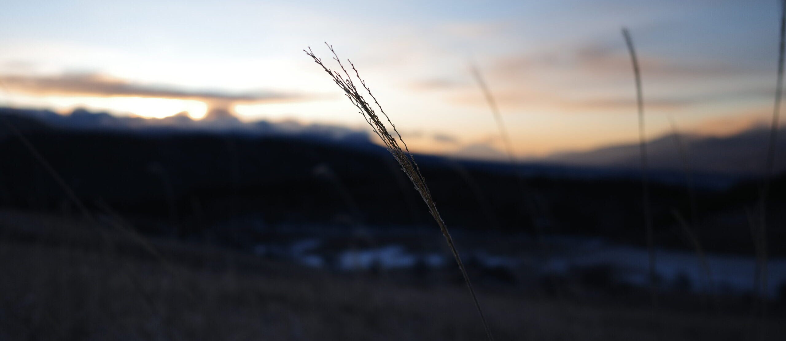工務店イメージ